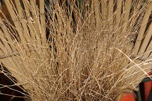 防犯カメラの一時的な利用はレンタルで